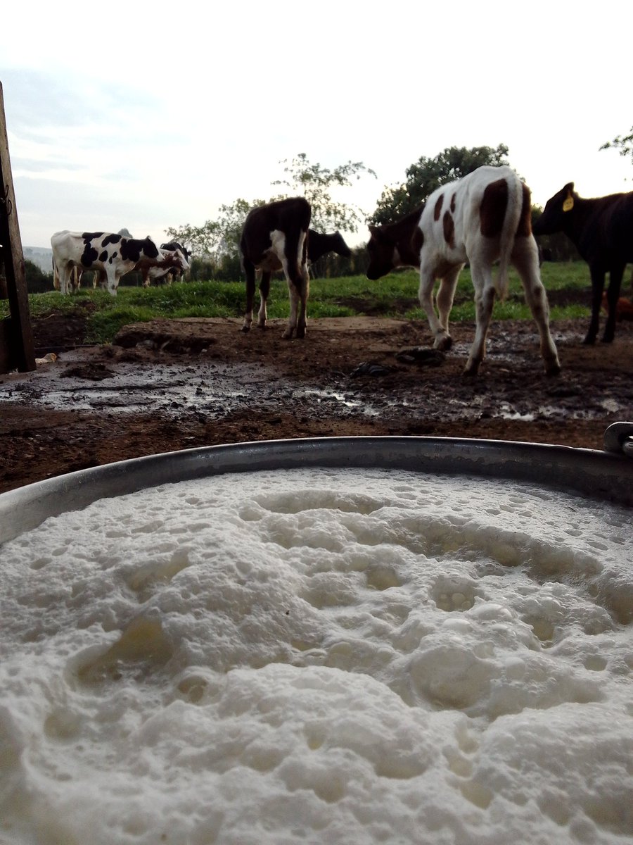 Good morning 🇺🇬. Greatful it's another day today.