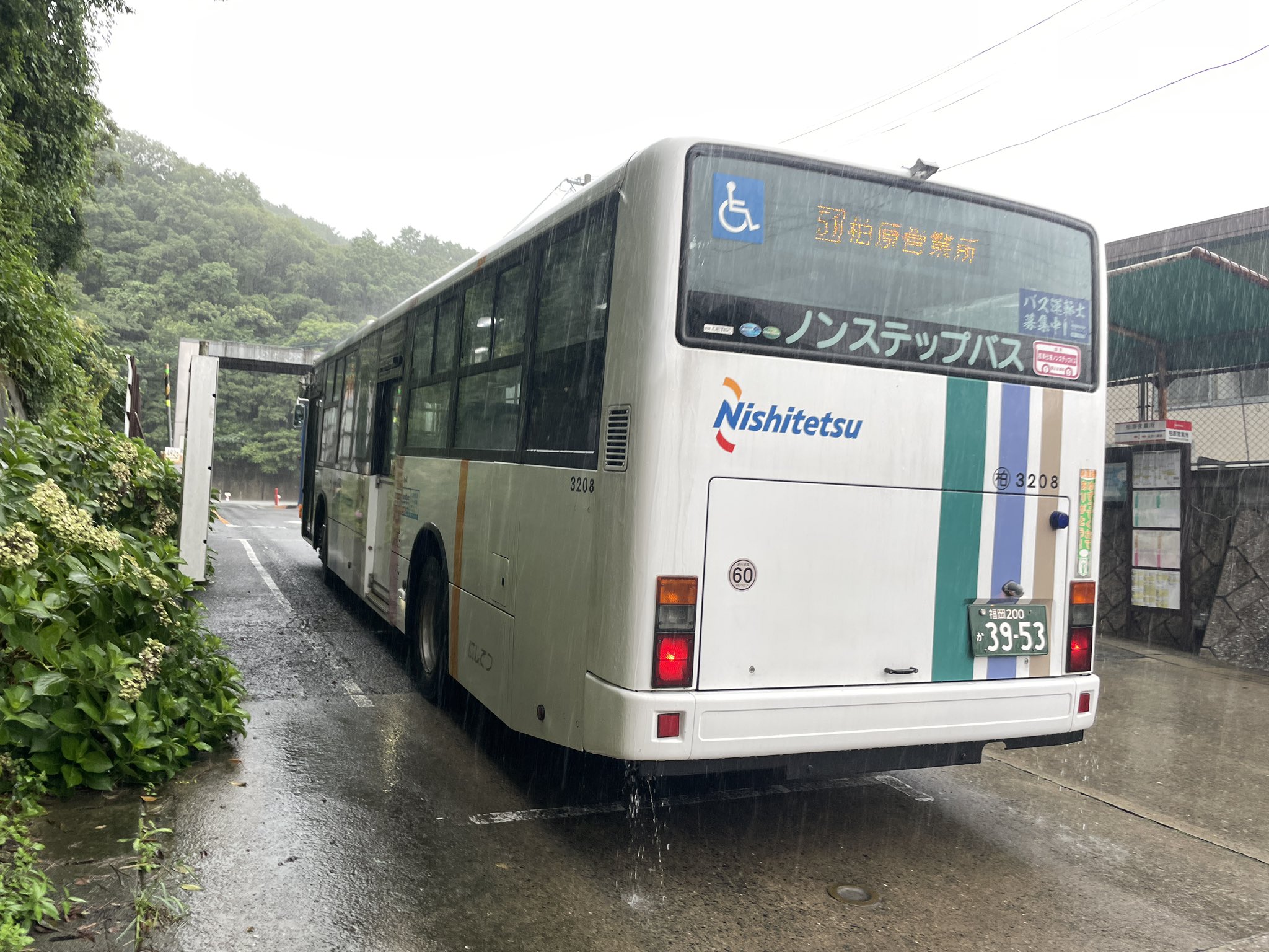 しげにゃん＊ on X: 