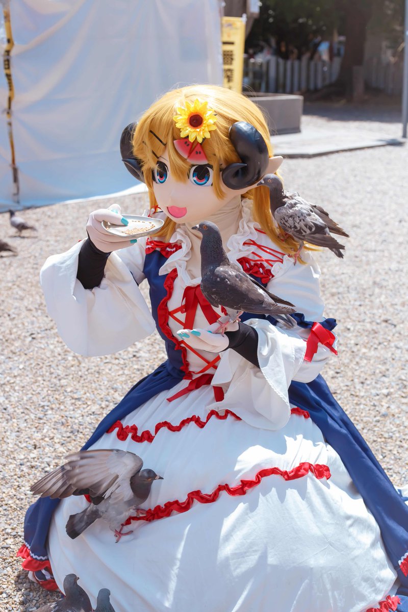 🐏🍉「🌾うちも食べるーー🕊️」

#コスサミ2025 #コスサミ