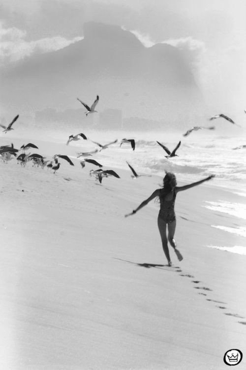 #PensieroDelMattino 
La felicità spesso ci raggiunge in silenzio, nei momenti più impensati della nostra esistenza. Arriva come un gabbiano spinto dal vento e rimane con noi se non la turbiamo con i nostri
pensieri.🌸
~R. Battaglia ~

#BuongiornoATutti ☕
#11Agosto