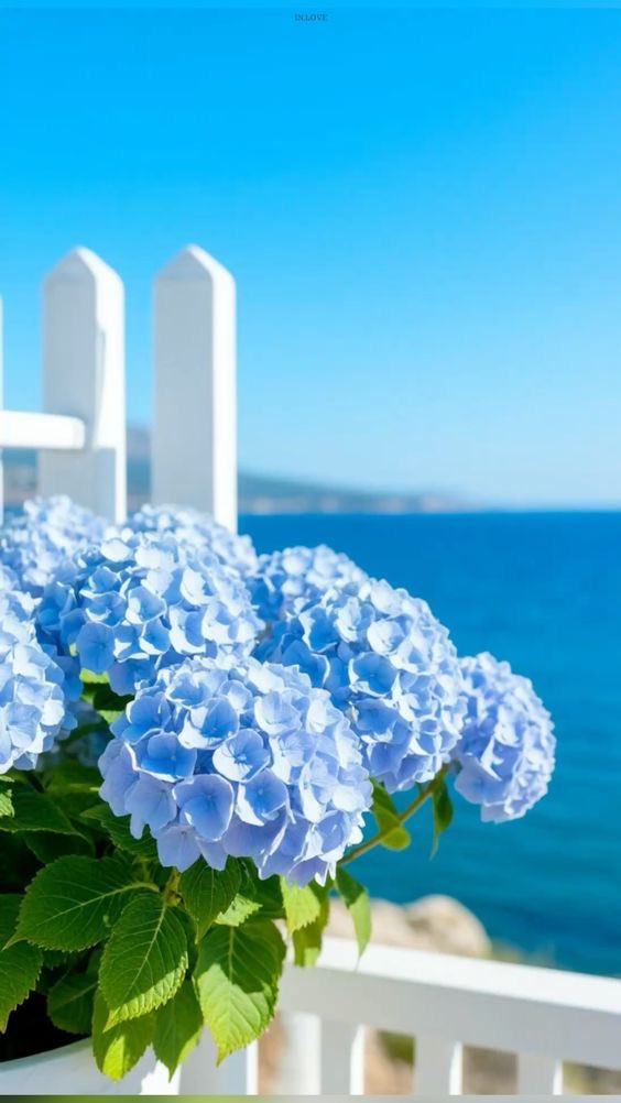 ๑୭̥ ✿ ๑୭̥ ✿ 

Nature teaches us
that harmony arises
from diversity that
complements itself

              ๑୭̥ ✿ ๑୭̥ ✿

🩵     𝒢𝑜𝑜𝒹 ℳ𝑜𝓇𝓃𝒾𝓃𝑔      🩵