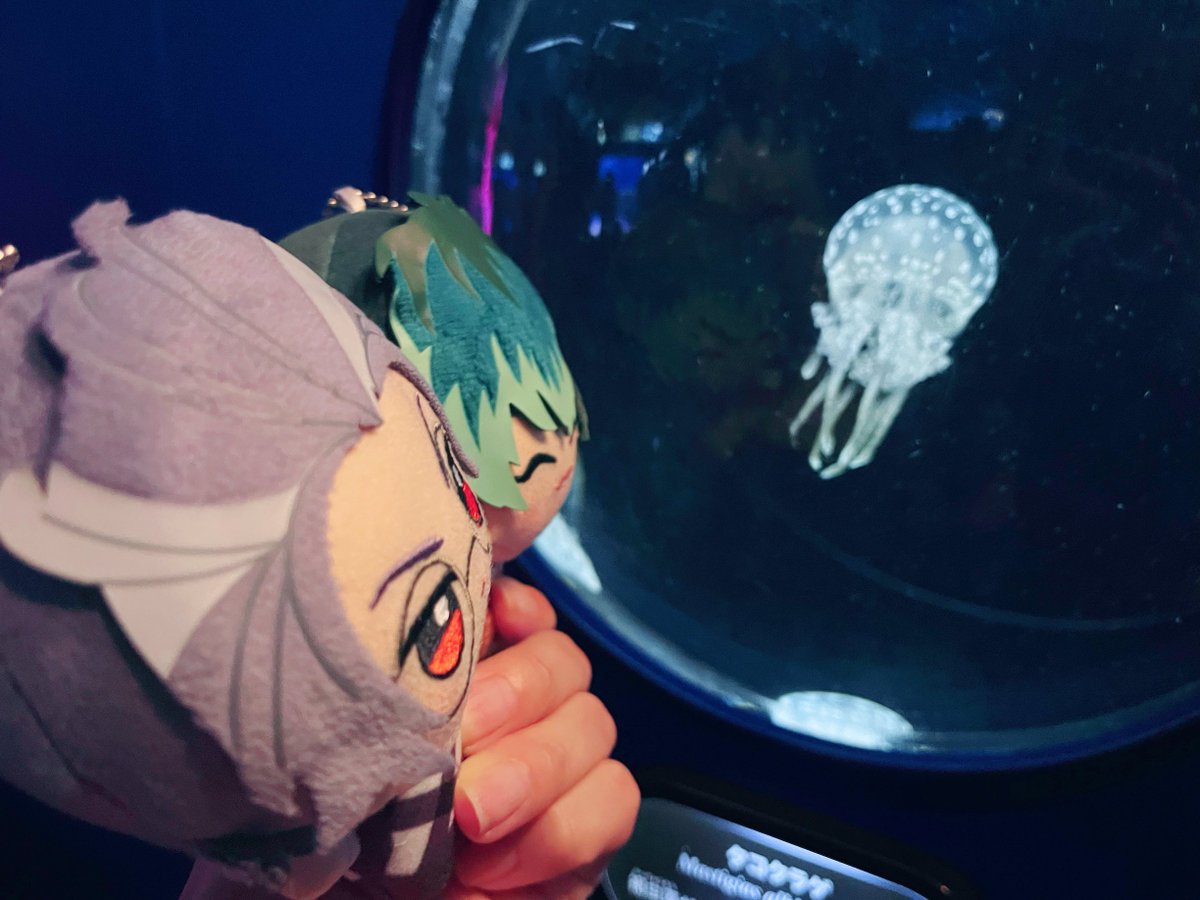 これは土曜日に行った江の島🌺🍹🪼