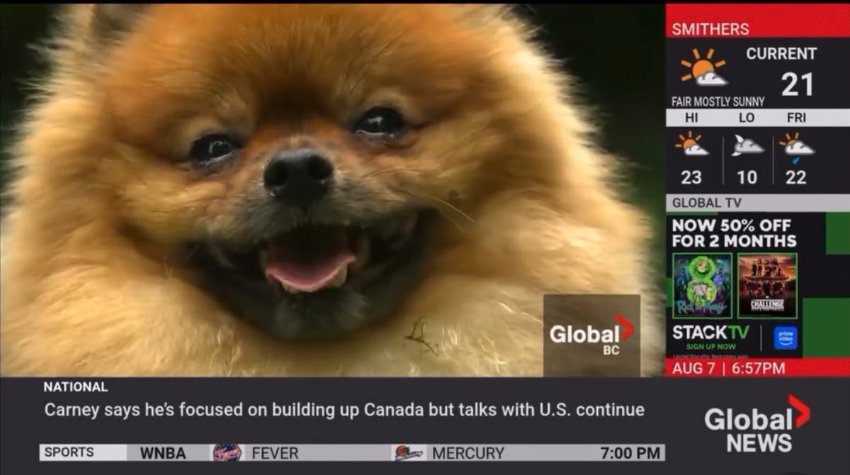 朗報です。熊を撃退したカナダの英雄、ScoutさんのInstagramアカウントが開設されました。
ぬいぐるみを抱っこしているサムネの動画で、取材を受けたニュース番組の様子も見られます。

instagram.com/scout.thebrave