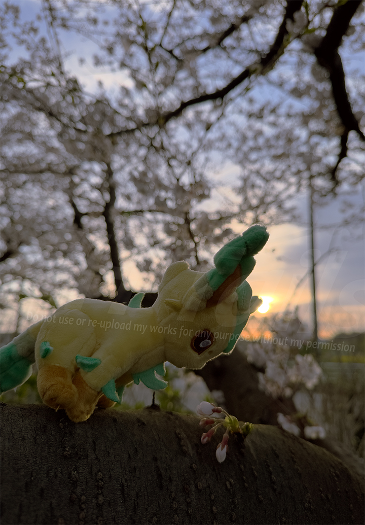 ぬいぐるみ界隈のタグがわたしのトレンドに上がってるということは、Show my worksってことですね。

それでは自己紹介とともに…
「ぬいぐるみに命を吹き込む事を追求している酔狂な写真家です。時々、ぬい撮り写真で写真展に参加しております」 
#ぬいぐるみの時間 #ぬい撮り