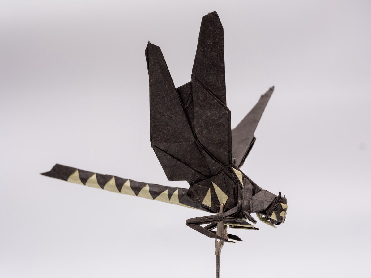 オニヤンマ
創作 中村楓
折手 私
紙 雁皮紙＋薄用紙
#折り紙作品