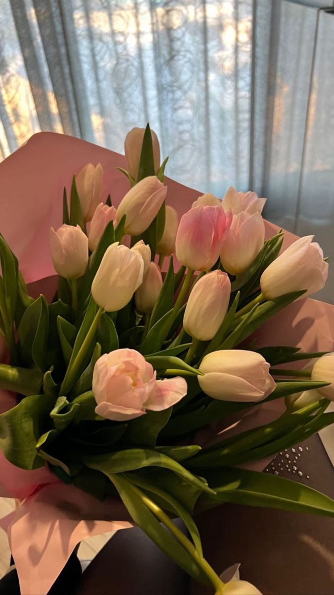 Only Tulips (@tutututututulip) on Twitter photo 