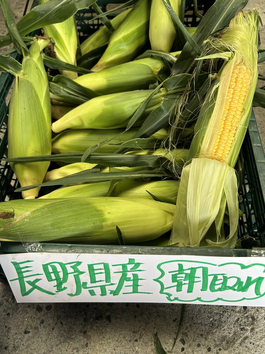 突然やるコトになった駄菓子屋夜祭り
朝から準備に追われてますがなんとか16時からやれそうです
早朝、朝どれのとうもろこし🌽お隣の県まで仕入れに行ってきました🥱
お祭り前で既に40本🌽予約が入ってます😊ありがたや〜
＃杉くんの駄菓子屋　＃夜祭り　＃朝どれとうもろこし