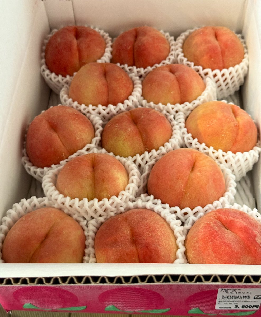 michinoeki923's tweet photo. 今日のあつかしの桃ラインナップ😎✨

🍑あかつき
🍑まどか
🍑紅博桃
🍑なつっこ
🍑なつおとめ
🍑あかつきネオ
🍑夏の陽
🍑あこや
🍑嶺鳳
🍑曙紅
🍑美郷
⚪️美晴白桃
🍑大紅蟠桃
🟡スウィート光黄
🟡黄金桃
🍑おどろき
🍑紅川中島 
🍑来夏
🍑まなみ

などなど。結構出てきてます😉

 #あつかしの桃2025 https://t.co/se4WeqcYwV