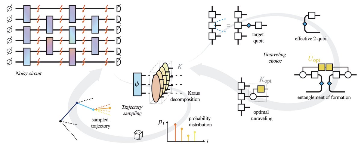 At what point can potentially quantum advantages set in and how far do classical tensor-network simulations go? In this work, we present a new algorithm for simulating noisy quantum circuits with stochastic unravellings of tensor network states, equipped with rigorous optimality