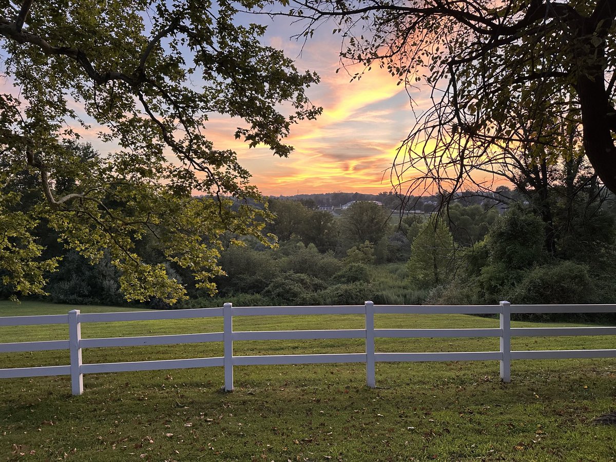 Delvin Dinkins tweet media