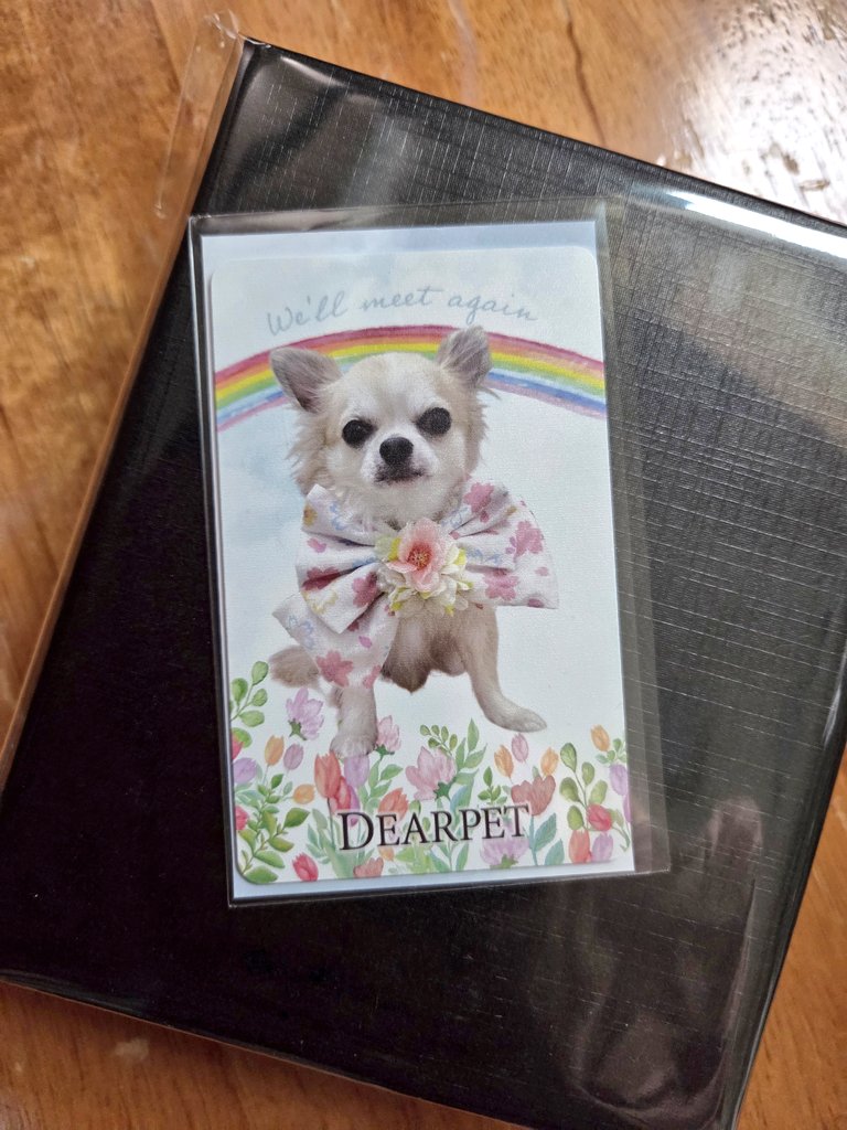 きなこのお位牌が届いた✨