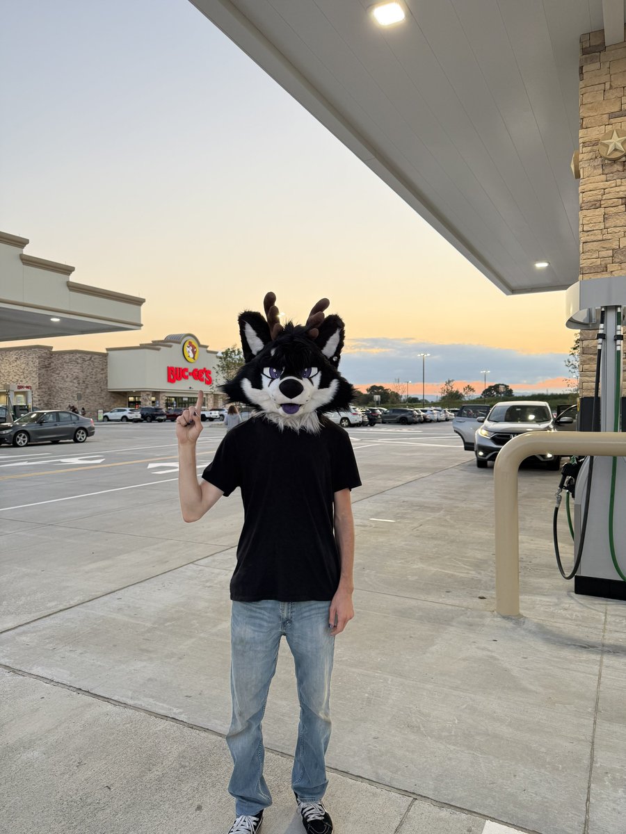 razi @ tff tweet media