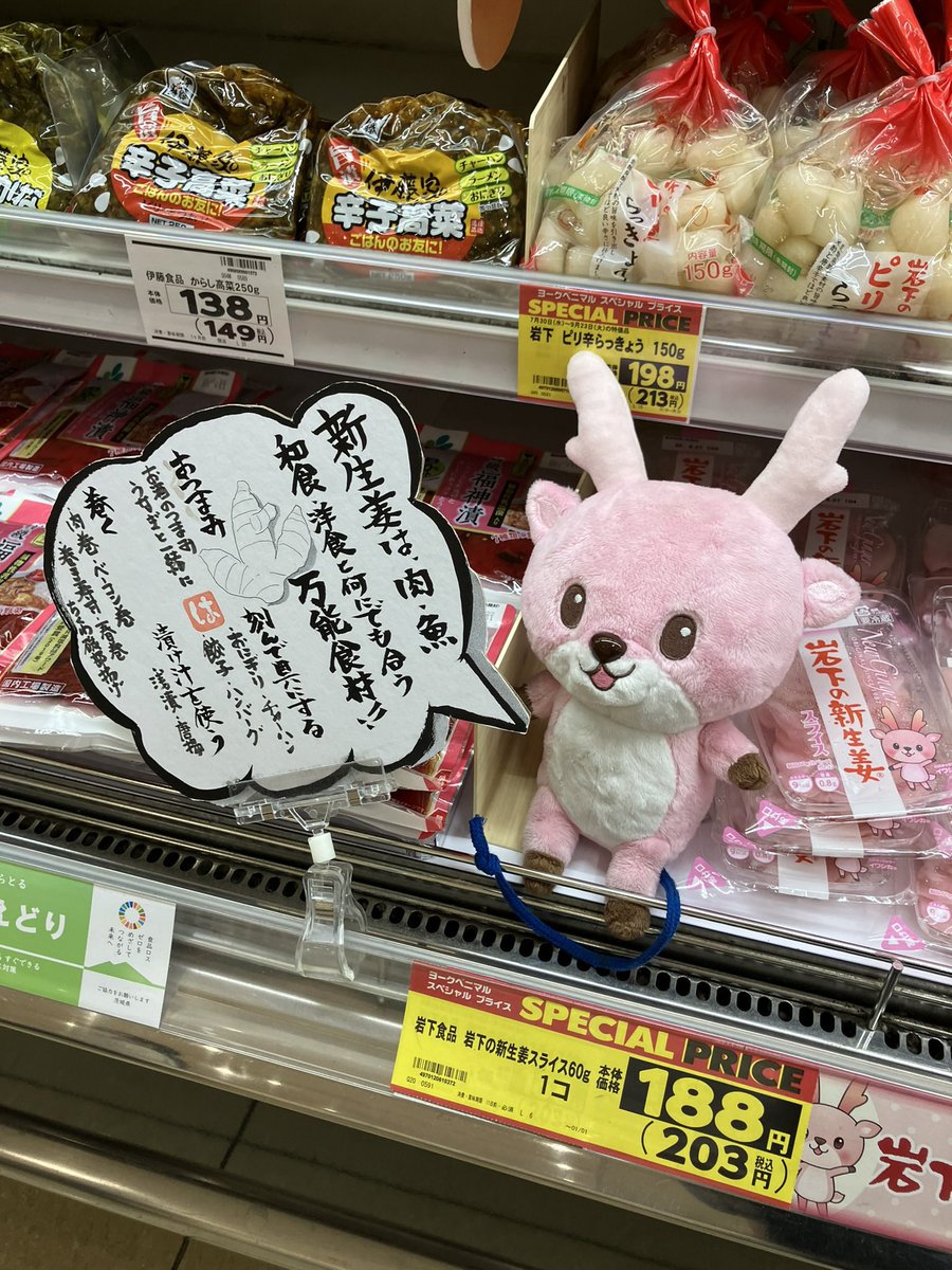 スーパー　新生姜の食べ方を教えてくれるイワシカちゃん