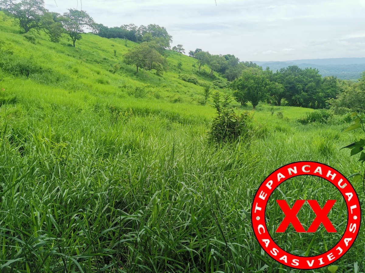 Ranchosybrechas's tweet photo. Lodo, agua y mucho pasto en la caminata del día de hoy por el Alto.
.
.
.
.
.
#rancho #ranchlife #postalesdecampo #ganado #cattle #ElCampoNoPara #SoyRanchero #Huasteca #Veracruz #Chiconamel #RanchoCasasViejas https://t.co/6GNlDEDDLS