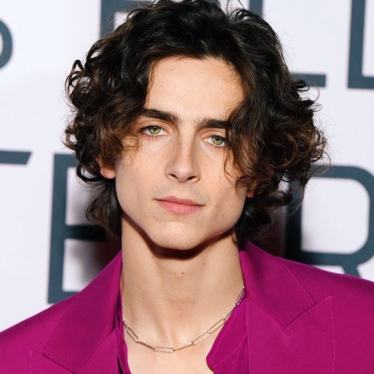 AcervoCharts's tweet photo. ATORES MAIS BONITOS

9 • Timothée Chalamet https://t.co/cevaUp1SRU