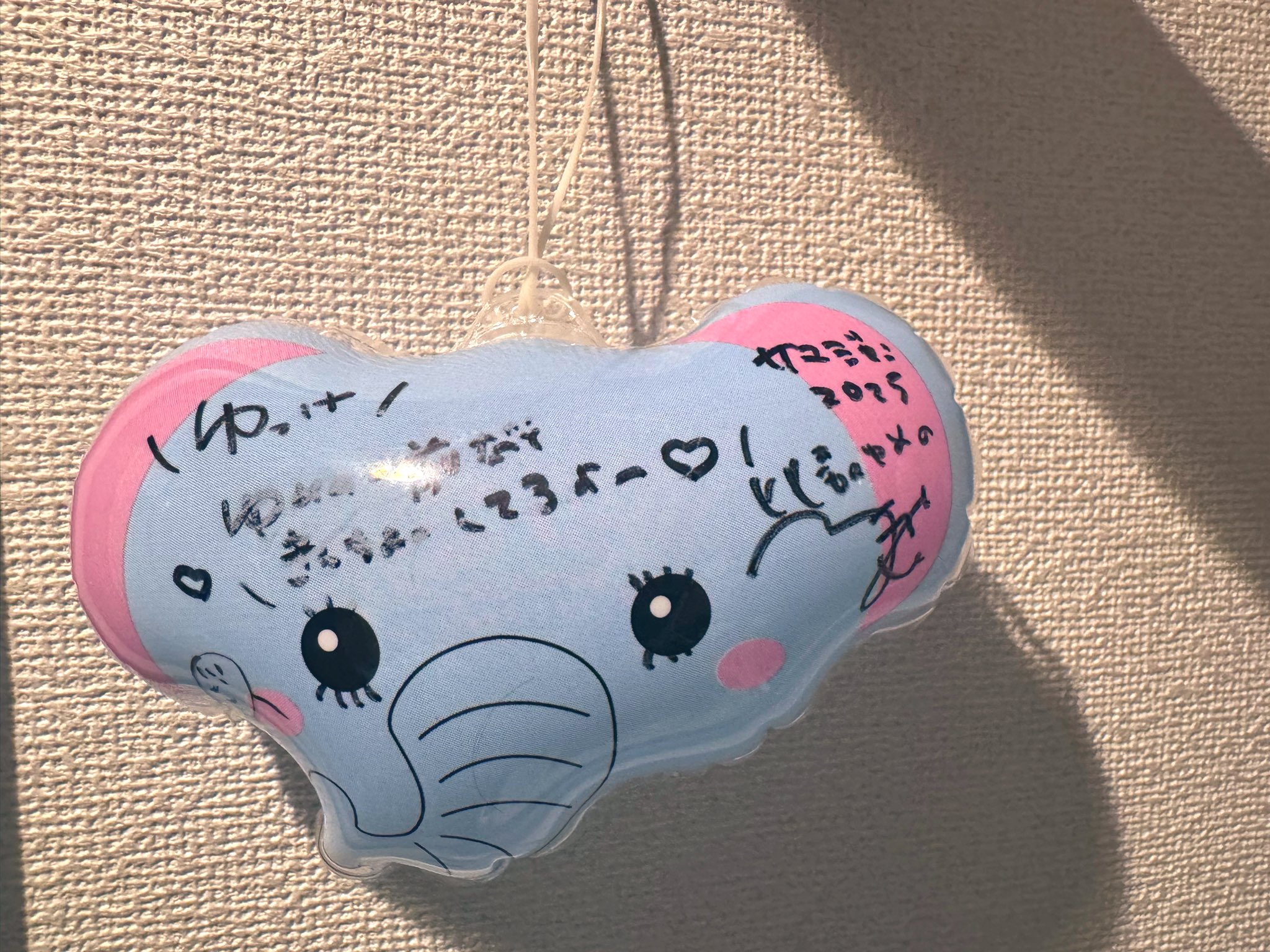 もちまる もちやき 14個入 1袋 丸彦製菓（株） : 善野菓子店 Yahoo