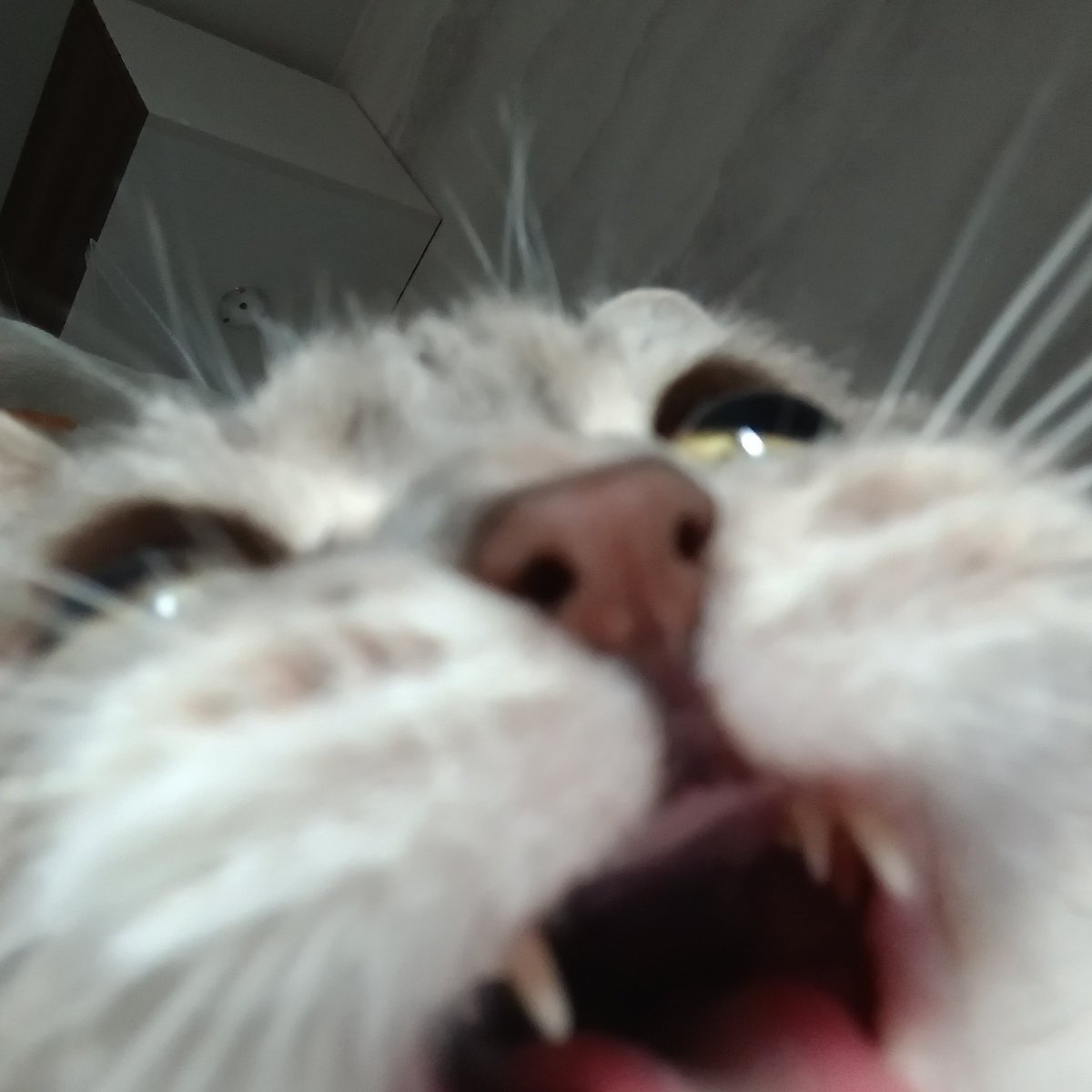 !! liamchik !! tweet media