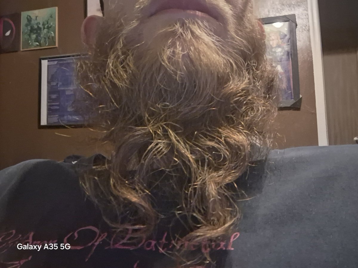 SomeoneOfNoOne1's tweet photo. My beard is growing out nicely. https://t.co/pGg7qTIRl4