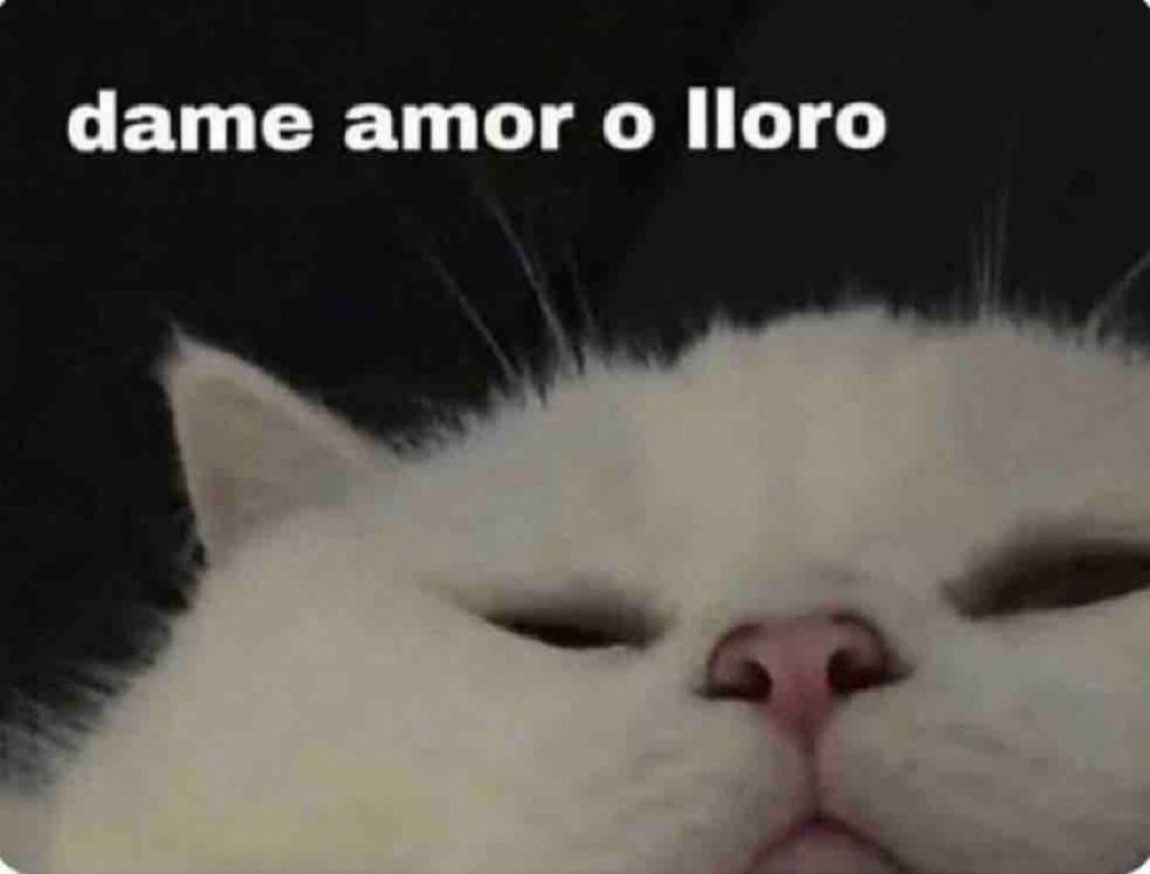 Guarromantico_'s tweet photo. *Mi amorcito me ignora por 3 segundos*

Yo: https://t.co/zz8tSVbx8S
