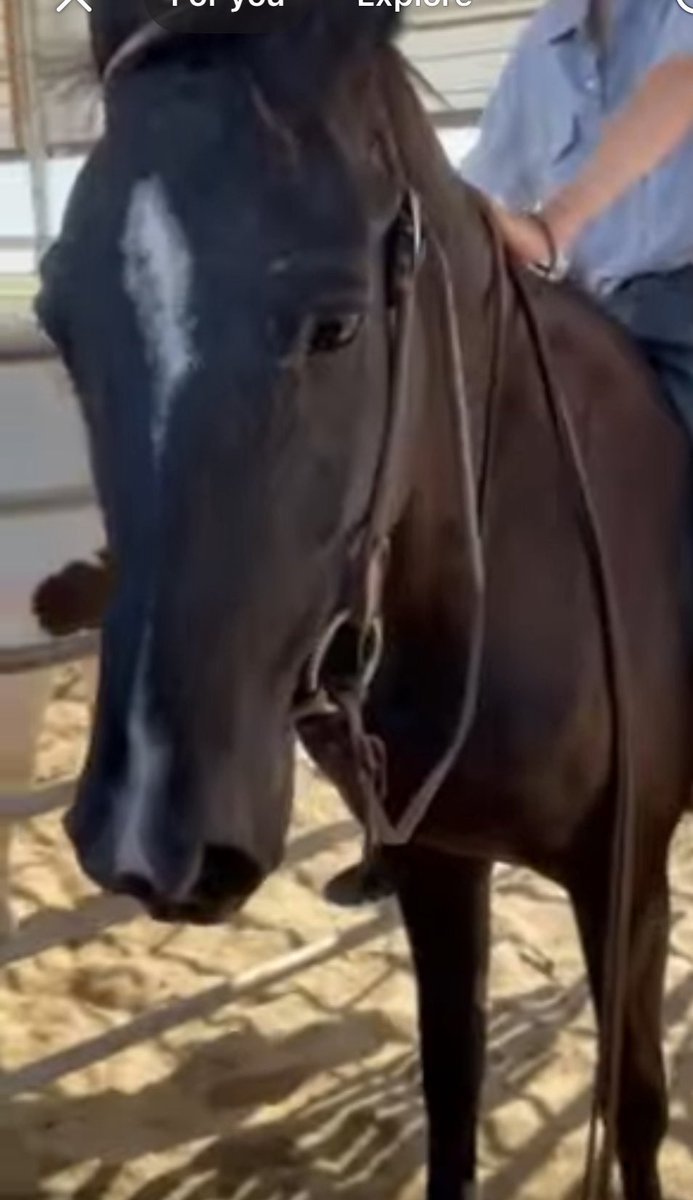 "Stella's sadness is evident in her eyes as she hopes for a ride to Arizona tomorrow to join one of our fellow rescues. She needs bail and transport—let's help her find a way! 💔🚗 #RescueDog #AdoptDontShop"

paypal.com/donate/?campai…