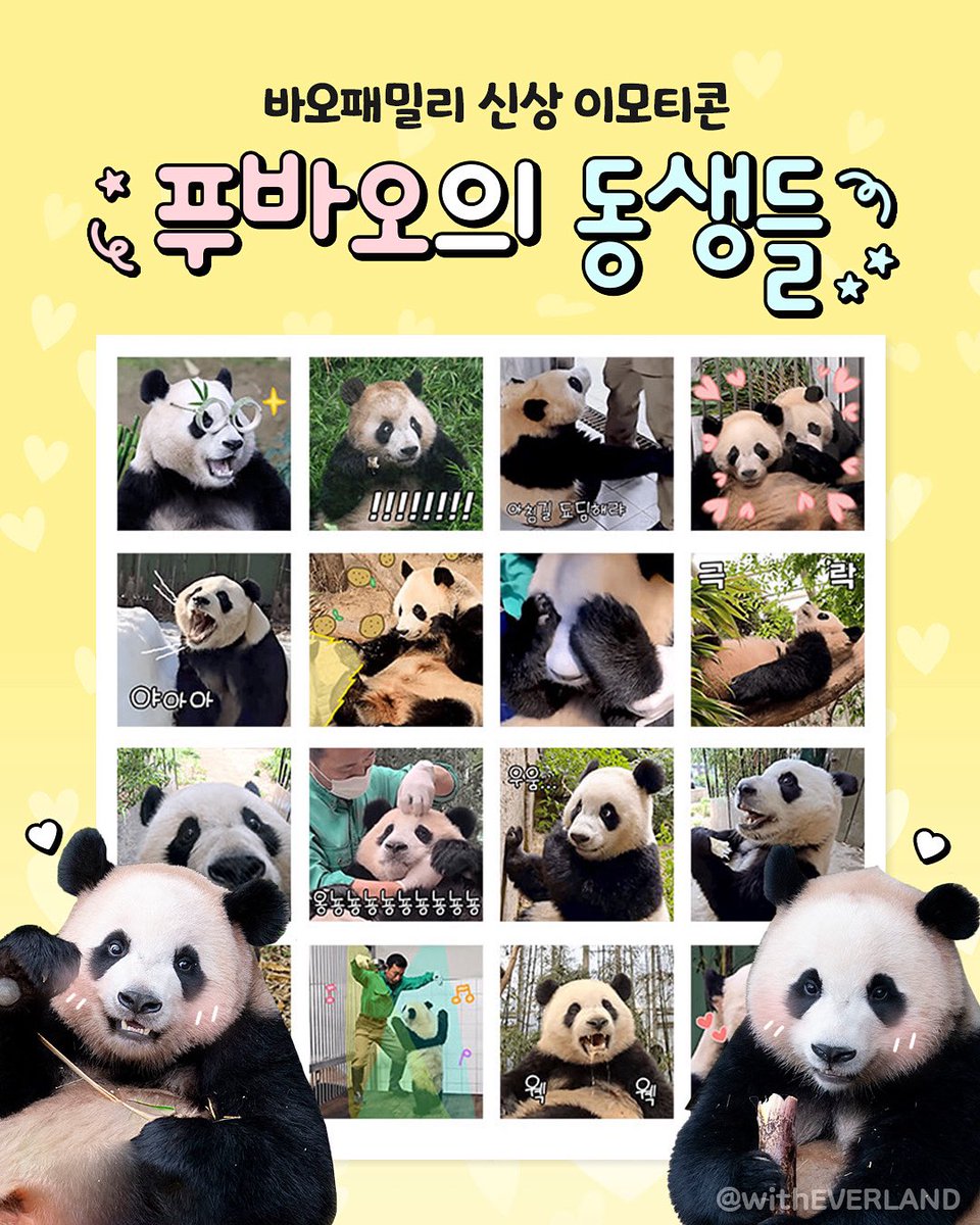 🎉바오패밀리 신상 이모티콘 출시!!!🎉

귀엽고 웃기고 사랑스러워서
지금 당장 카톡방에 올리지 않으면 큰일날 것 같은
&lt;푸바오의 동생들&gt; 임티🐼🐼

여러분도 빨리 다운 받으세요!!!
👉buly.kr/EzjAd83
