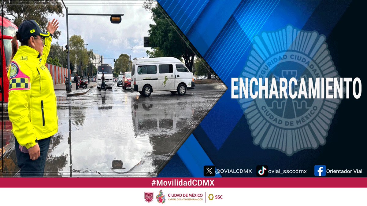 OVIAL_SSCCDMX tweet media