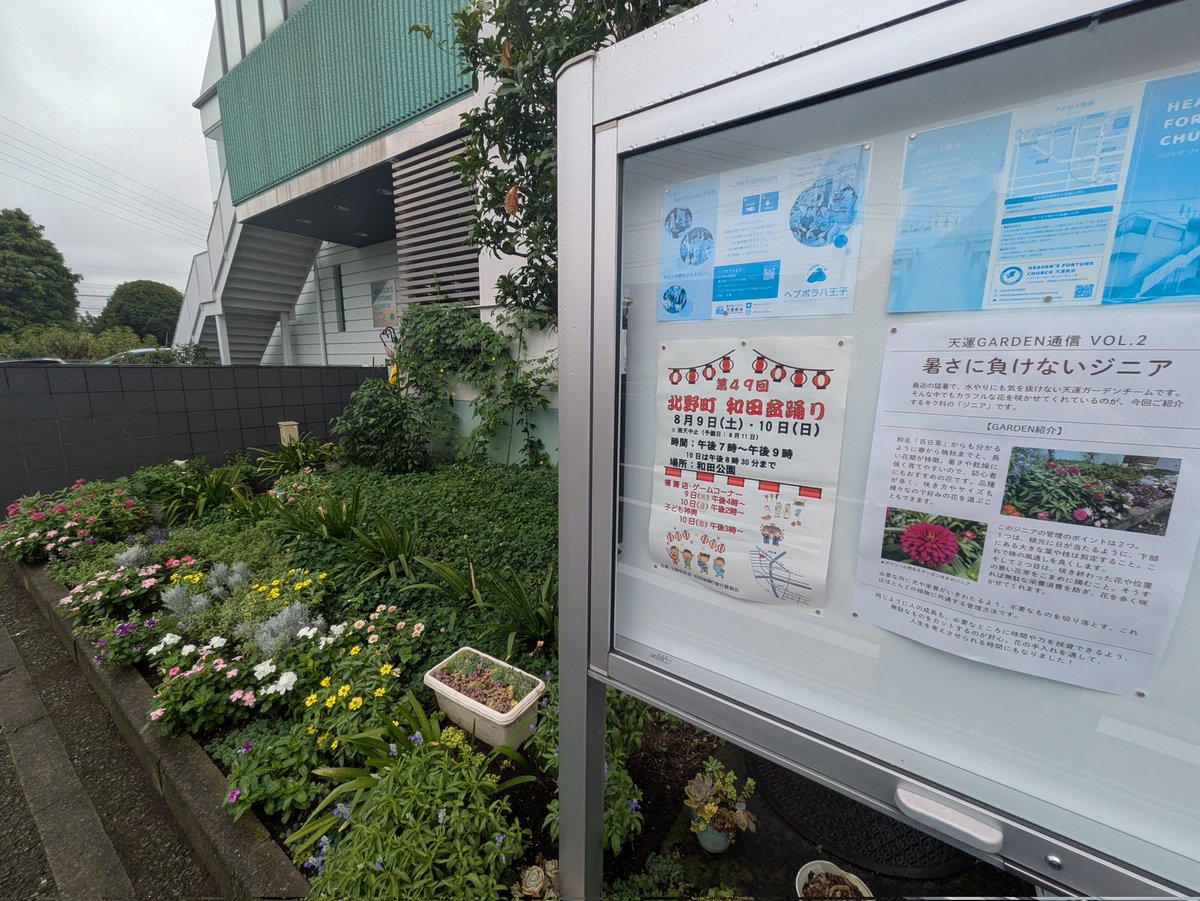 Ten_uncafe's tweet image. カフェスタッフの一人で、着物の着こなしが上手なものが!✨️
いつも違う様々な柄の和の装いをみて、改めて日本の美👘を感じ日本人でよかったと思うこの頃です☺
また、教会の掲示板にジニアの花の説明が新しくされてました🏵️ ふむふむ…、管理方法が深い!✨️😳
#天運教会
#日本の美
#通じる管理