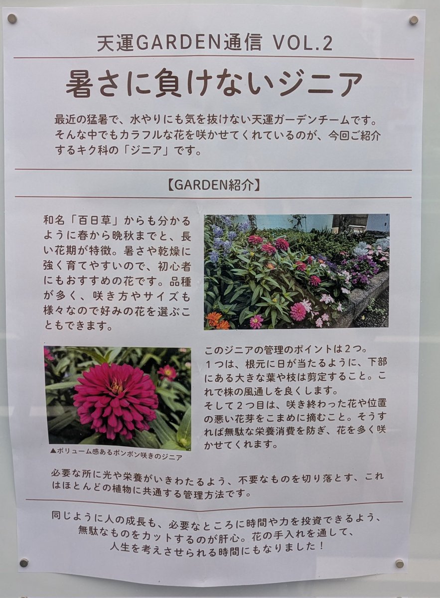 Ten_uncafe's tweet image. カフェスタッフの一人で、着物の着こなしが上手なものが!✨️
いつも違う様々な柄の和の装いをみて、改めて日本の美👘を感じ日本人でよかったと思うこの頃です☺
また、教会の掲示板にジニアの花の説明が新しくされてました🏵️ ふむふむ…、管理方法が深い!✨️😳
#天運教会
#日本の美
#通じる管理