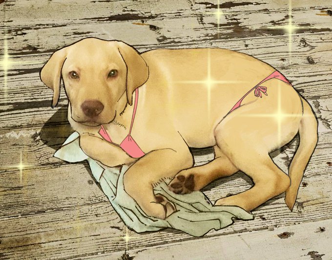 #なんの脈絡もなく水着イラストを再掲して最近フォローしてくれたフォロワーを怖がらせましょう 