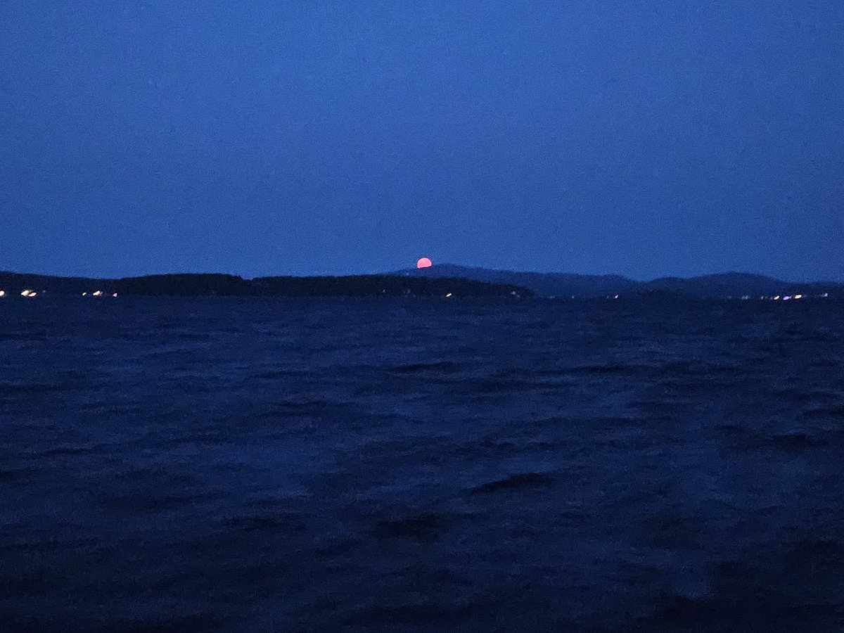 stringer_bell4's tweet image. Perfection ❤️
#LakeWinnipesaukee #summer2025