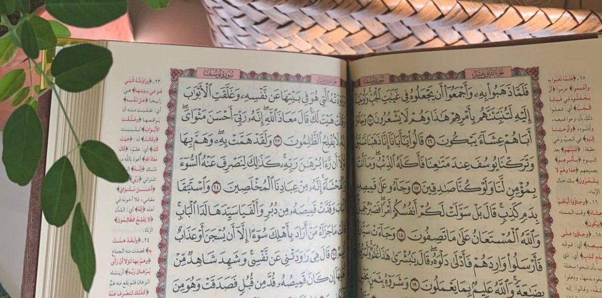 "لا يزالُ المؤمن يُقبل على القرآنِ حتى يجد فيه سلواه، وأنسَه، وثباتَ أوتادِ الإيمانِ في قلبه"🍃.