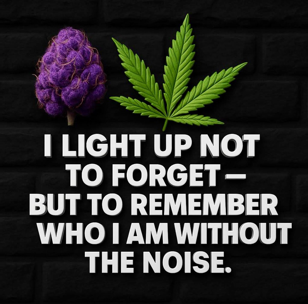 AngelTheHighest's tweet image. 