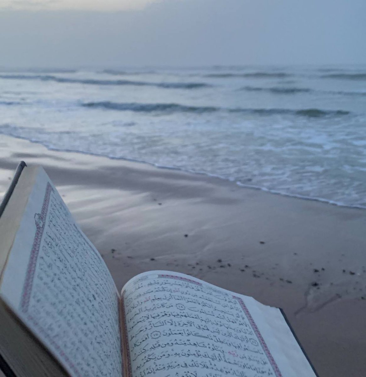 "واضمُمْ بقلبكَ آيَ ربِّي إنَّهـا
حِصنُ الأمانِ وللفؤادِ ربيعُ"🩵.