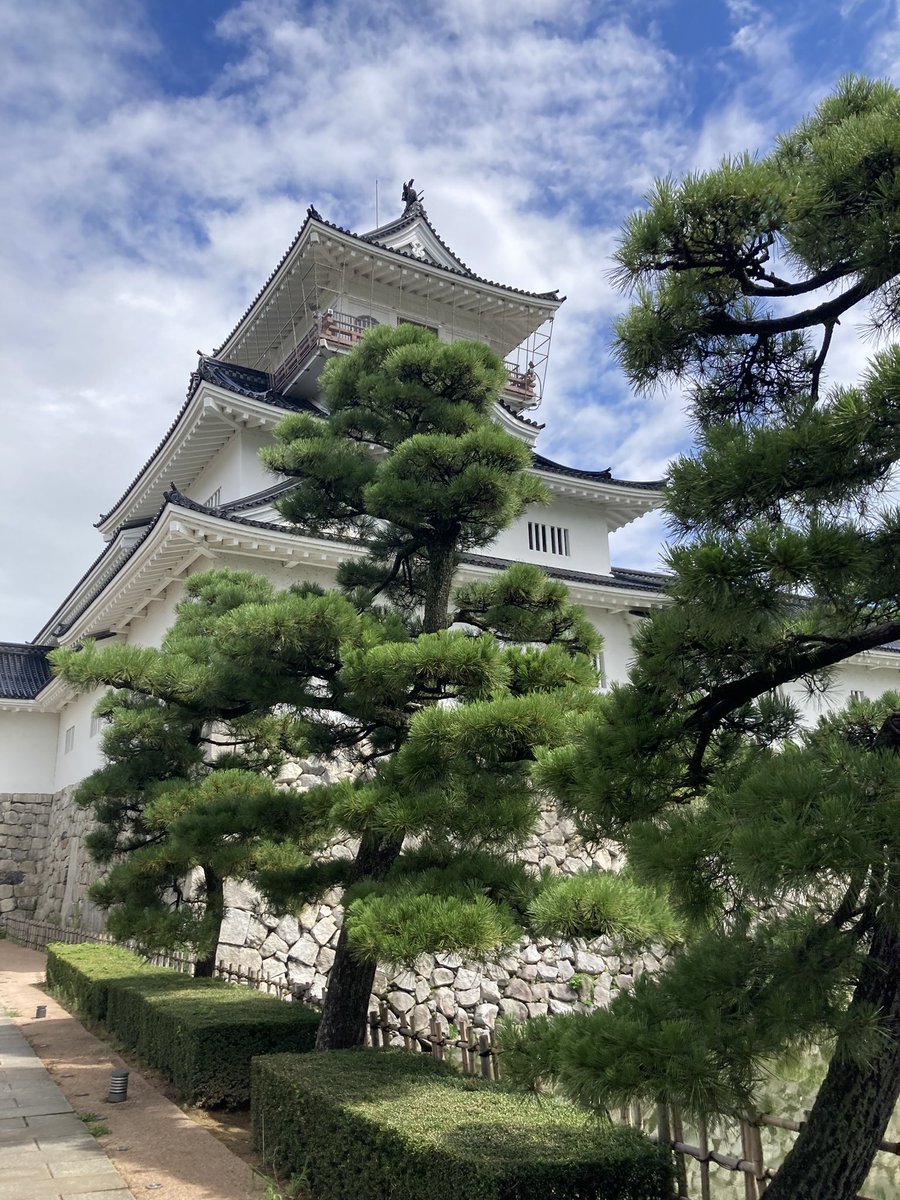 もんもん tweet media