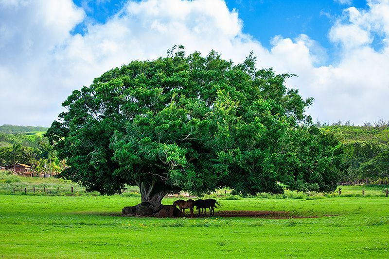 Aaron Chang tweet media