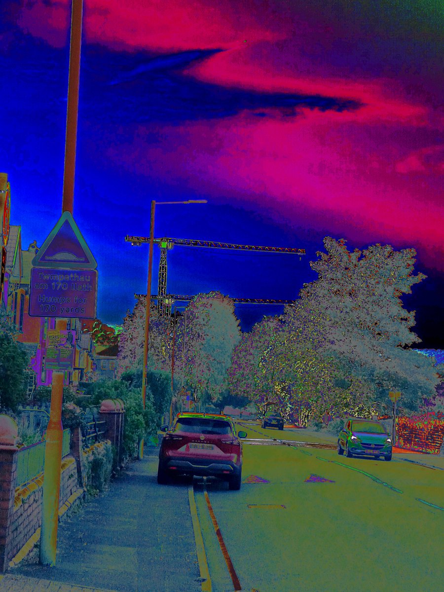 Scampertron tweet media