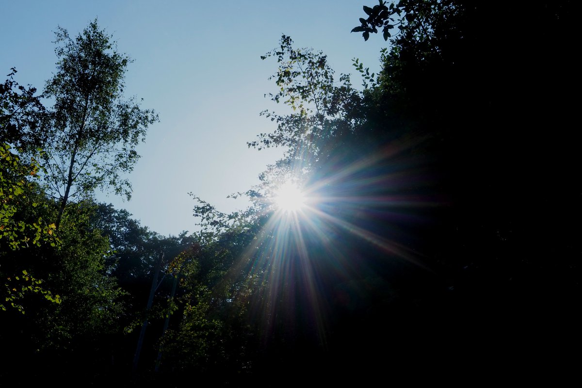 Scampertron tweet media