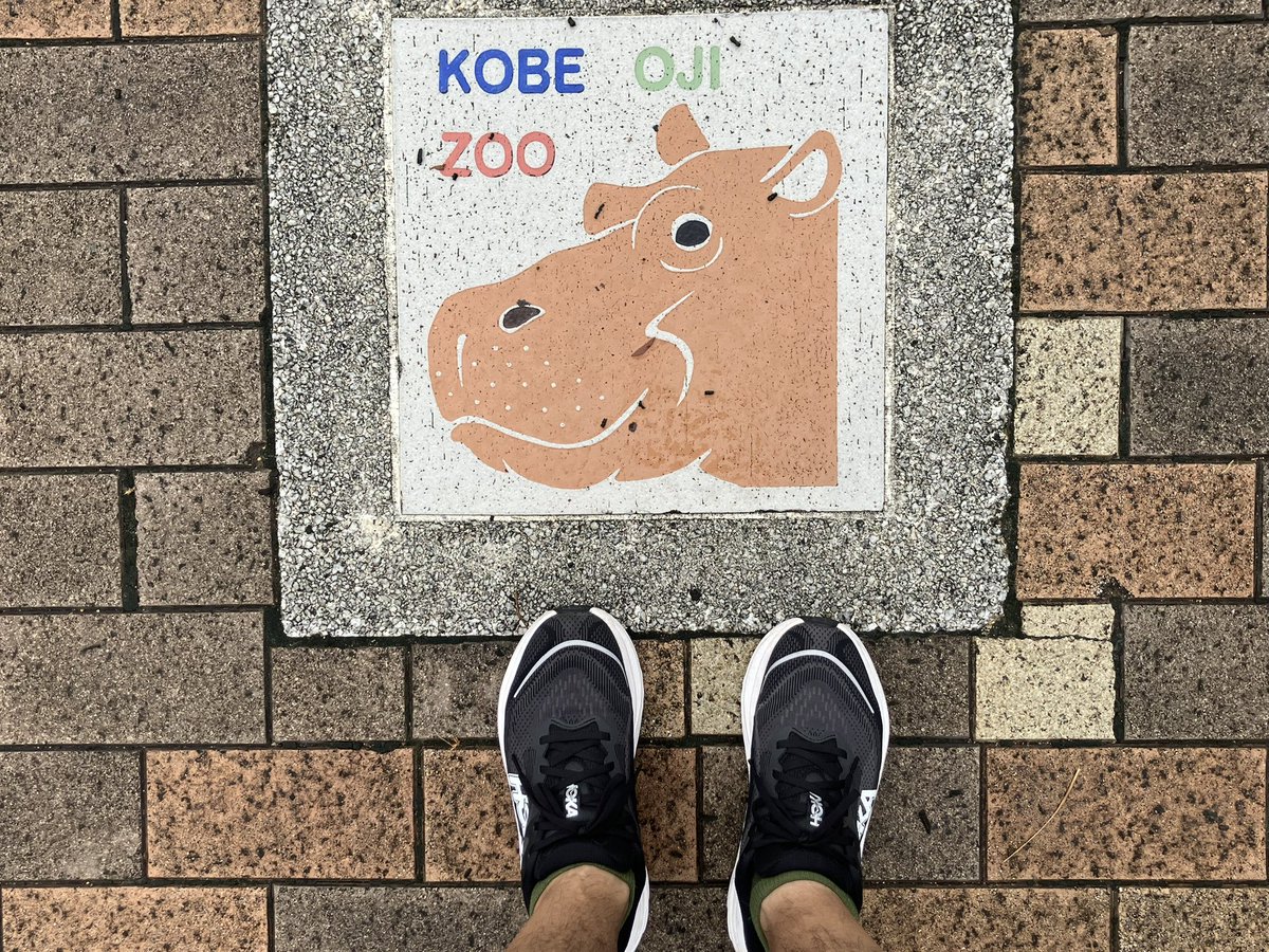 tripstar0522's tweet image. #朝ラン しました

今日は雨のためランオフ予定でしたが、止んでいたので動物園方面へジョグ。
六甲バター本社前のレゴブロック製キャラクターと、久々に写真撮りました📷

コース
新神戸→王子動物園→JR灘駅→臨港線廃線跡→阪神春日野道→葺合警察署→三宮

👟→ #HOKA  #SKYFLOW
🧦→ #INNERFACT