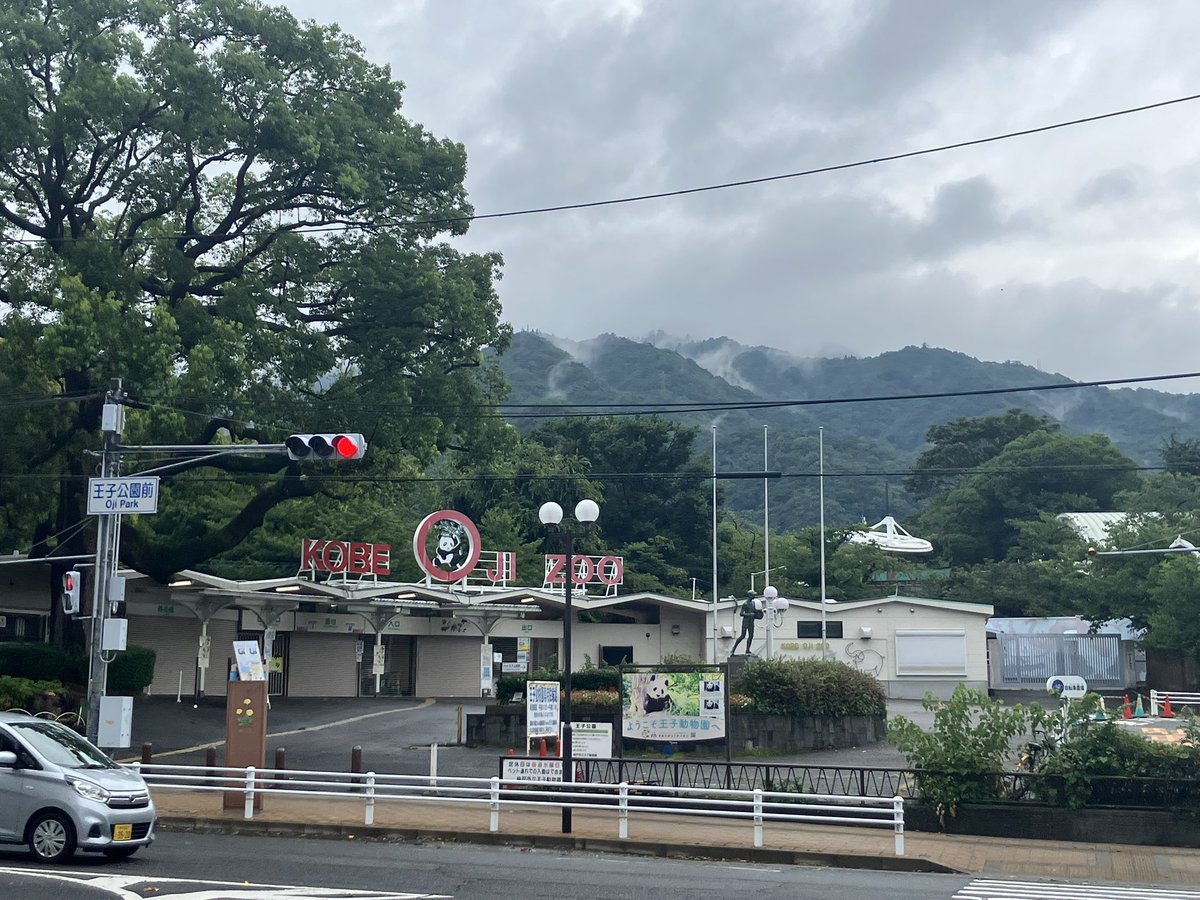 tripstar0522's tweet image. #朝ラン しました

今日は雨のためランオフ予定でしたが、止んでいたので動物園方面へジョグ。
六甲バター本社前のレゴブロック製キャラクターと、久々に写真撮りました📷

コース
新神戸→王子動物園→JR灘駅→臨港線廃線跡→阪神春日野道→葺合警察署→三宮

👟→ #HOKA  #SKYFLOW
🧦→ #INNERFACT