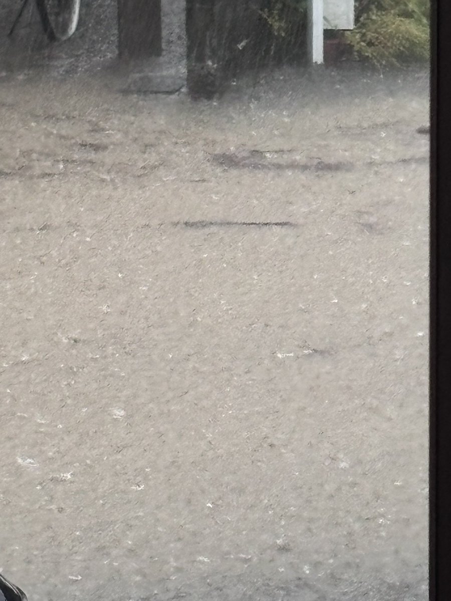 氾濫しました笑避難所ももう行けないらしい😅