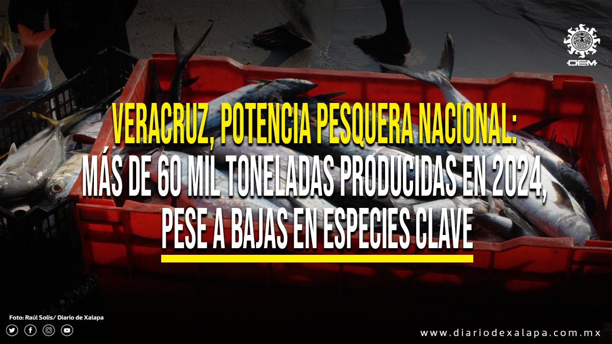 👉Veracruz representa un 2.76% de la producción pesquera nacional.
De acuerdo a las dependencias, la entidad cuenta con una sólida infraestructura, con un padrón de: 30,411 pescadores🎣.
tinyurl.com/4y7ar4u2
📸Raúl Solís