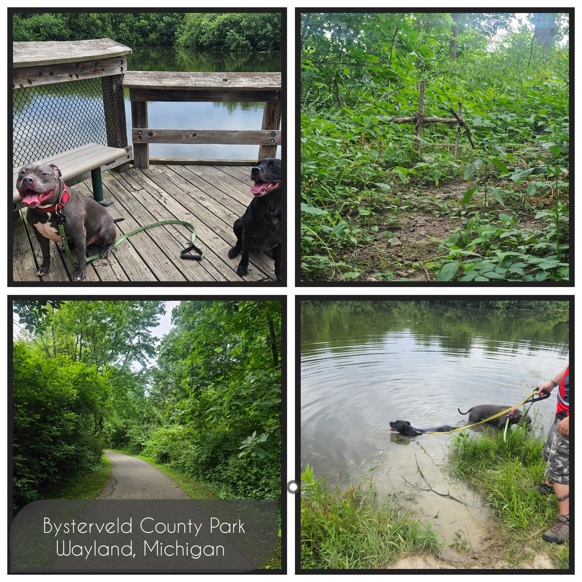 Nicole McKean (@nikkole1890) on Twitter photo 