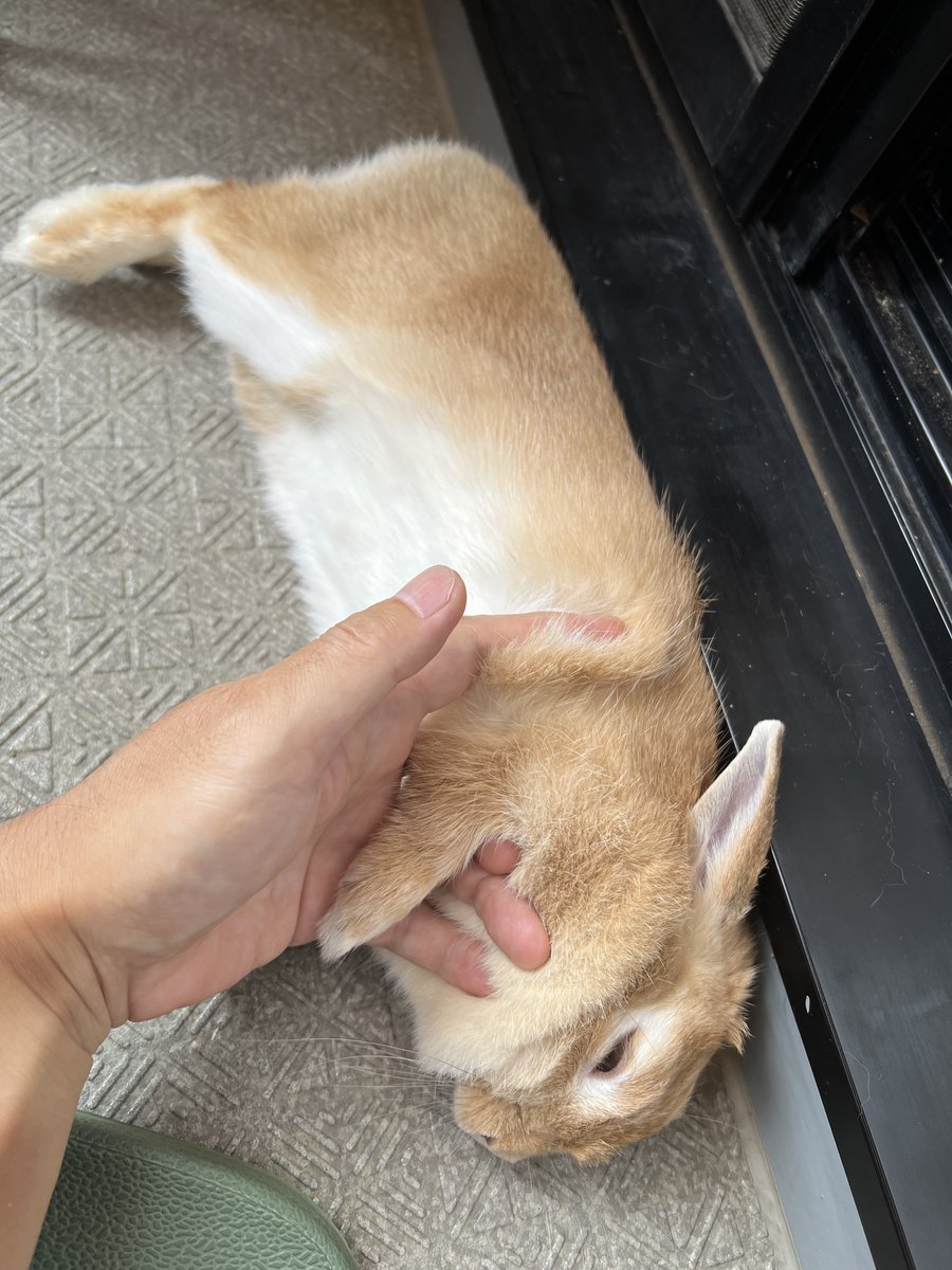 今朝は涼しくて良いですね。