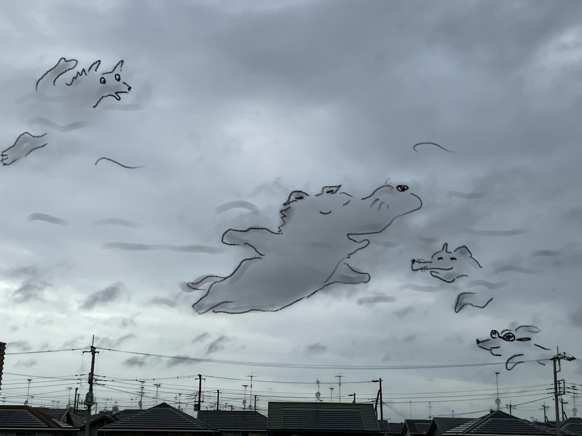 雲ページ Peace Hill FX | TS808 