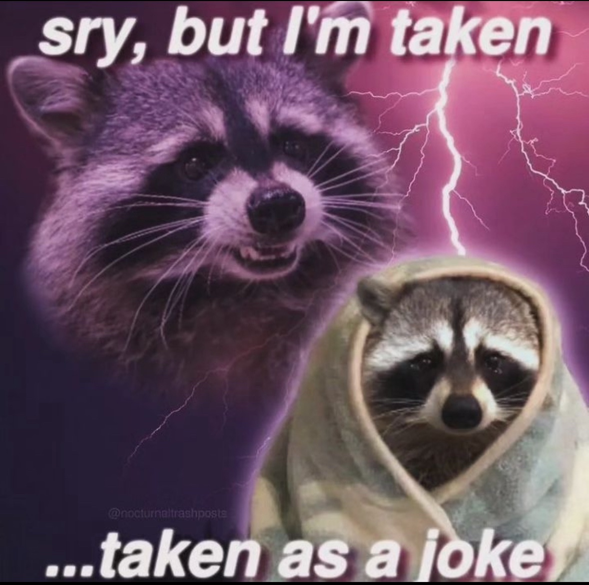 raccoon aesthetic. tweet media