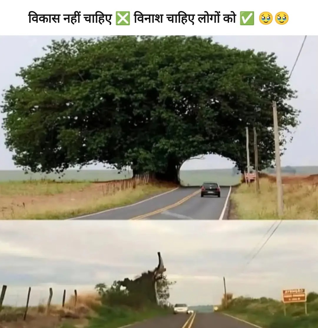 Shesh_Nath_'s tweet image. धिक्कार है ऐसे विकास पर !😡
#SaveTrees