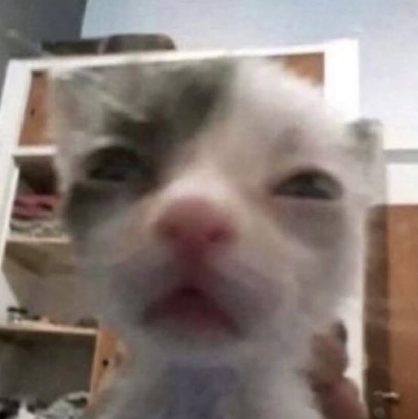 CapsuleTrix's tweet image. 