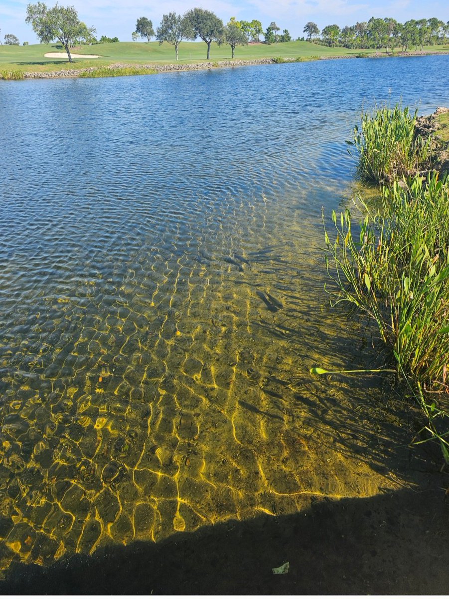 As above, so below. A few days ago I noticed this unique pattern in the water was the same as the clouds.