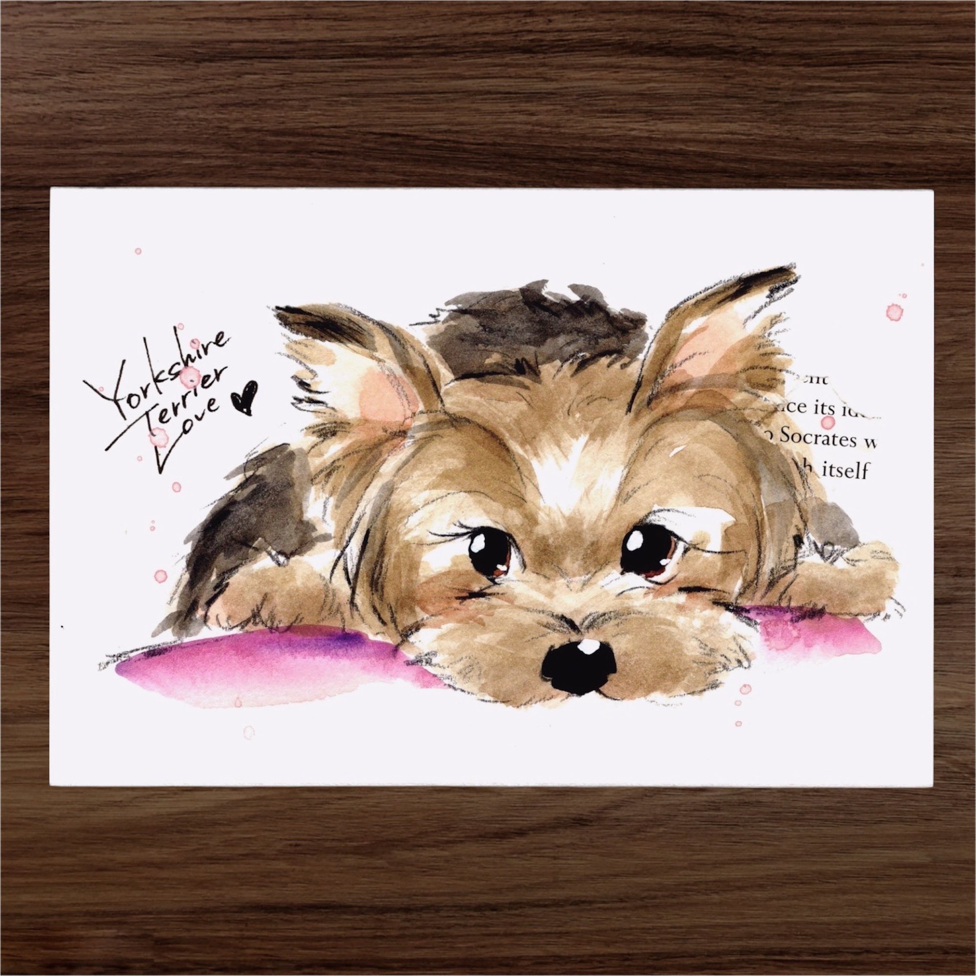 ♡Y様♡即購入okd　ヨークシャーテリア　伏せポーズ　ハンドメイド　犬 HANSA（ぬいぐるみ） BH5909 ヨークシャーテリア HANSA よーく