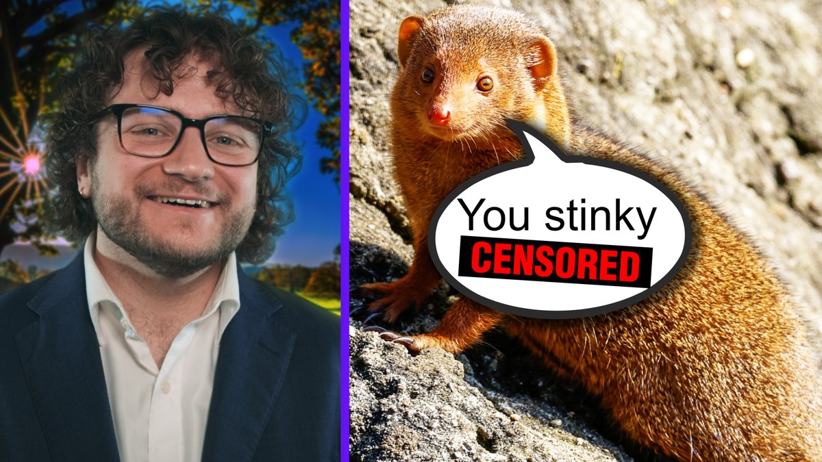 readingsasmr's tweet photo. My new Whispering Wikipedia video is live! We're diving into the bizarre case of Gef, the talking mongoose. Please enjoy. I found this story interesting, super weird, and incredibly charming.
https://t.co/tvPkblTO6f
#ASMR #Paranormal #WeirdHistory #GefTheMongoose https://t.co/a0c1CMERJT